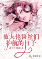 被大佬粉丝们护航的日子