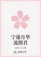 宁遂月华流照君