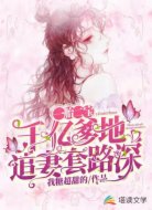 一胎两宝:千亿爹地追妻套路深