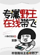 专属野王在线带飞