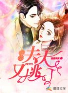 陆少,夫人又逃了