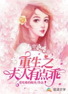 重生之夫人有點(diǎn)乖