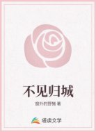 不见归城
