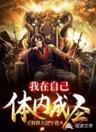 我在自己体内成圣