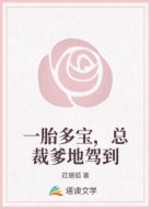 一胎多宝,总裁爹地驾到