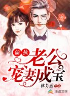 偏执老公宠妻成宝