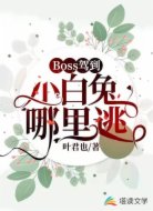 Boss驾到:小白兔哪里逃