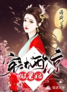 穿越西凉做皇妃