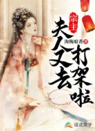 宗主,夫人又去打架啦