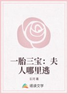 一胎三宝:夫人哪里逃