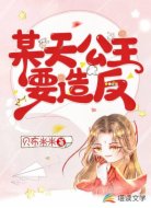 某天公主要造反