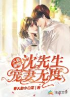 入骨暖婚:沈先生宠妻无度