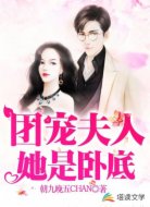团宠夫人她是卧底