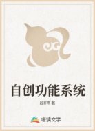 自创功能系统
