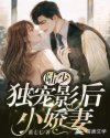 陸少獨(dú)寵影后小嬌妻