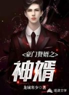 豪门赘婿之神婿