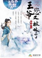王爷，您又被休了