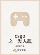 csgo之一发入魂