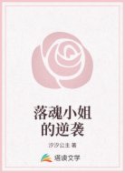 落魂小姐的逆袭