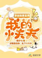 穿越我要富养我的小夫夫