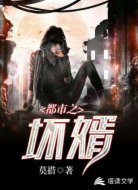都市之坏婿