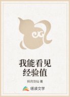 我能看见经验值