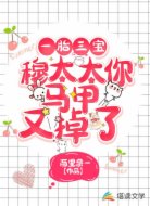 一胎三宝:穆太太你马甲又掉了