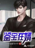 鉴宝狂婿