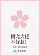 团宠大佬不好惹！