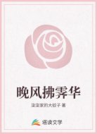 晚风拂霁华