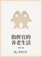 指挥官的养老生活