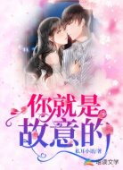 你就是故意的