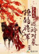 撩的將軍竟是我逃婚對象