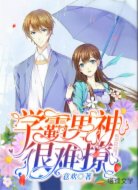 学霸男神很难撩