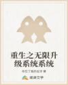 重生之无限升级系统系统
