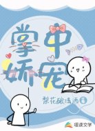 掌中嬌寵