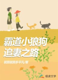霸道小狼狗追妻之路