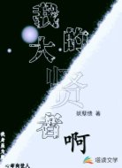 我的大贤者啊