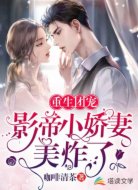 重生团宠:影帝小娇妻美炸了
