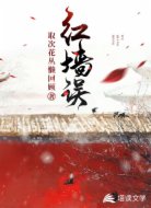 红墙误