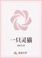 一只灵猫