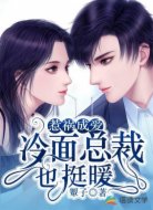 惹祸成爱:冷面总裁也挺暖