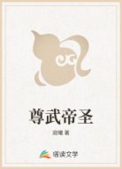 尊武帝圣