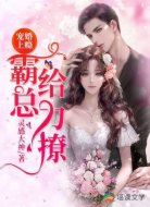 宠婚上瘾:霸总,给力撩