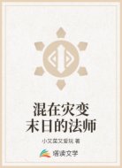 混在灾变末日的法师