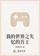 我的世界之失忆的吾王