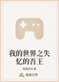 我的世界之失忆的吾王