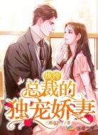 纨绔总裁的独宠娇妻