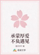 承蒙厚爱不负遇见