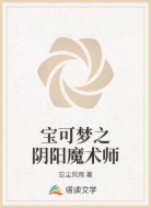 宝可梦之阴阳魔术师